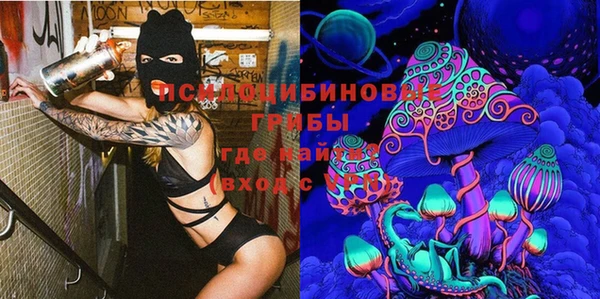 метадон Армянск